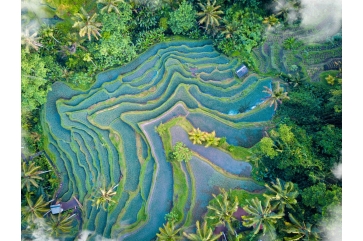 单个岗位薪酬数据 - 整体薪酬调研