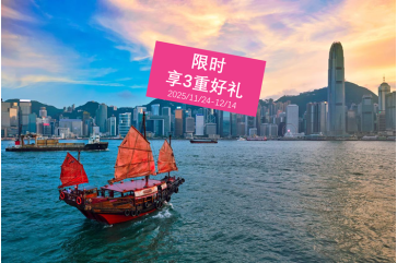 人力资本分析专家发展项目