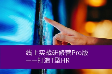 人效管理线上实战研修营Pro版