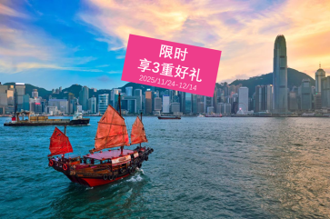 人力资本分析专家发展项目