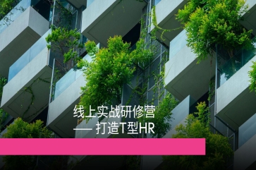 人效管理线上实战研修营Pro版
