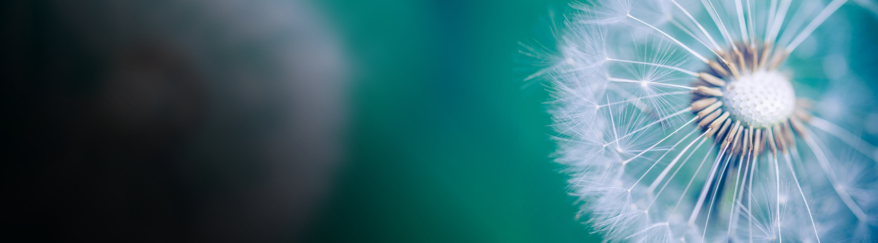 活动促销Banner
