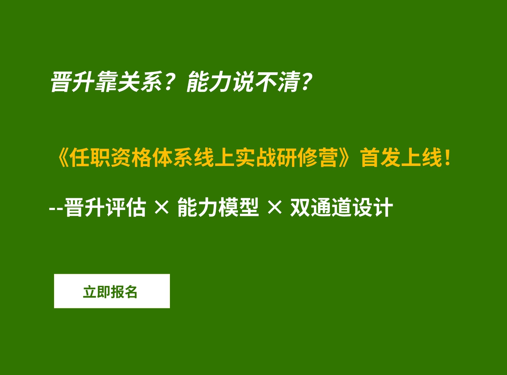 任职资格体系